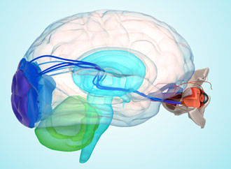 Neuro-oftalmologjia